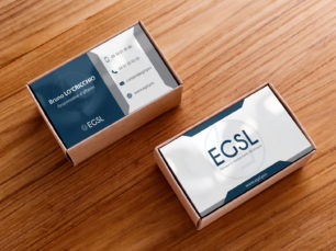 Communication : Portfolio - Cartes de visite de l'entreprise EGSL